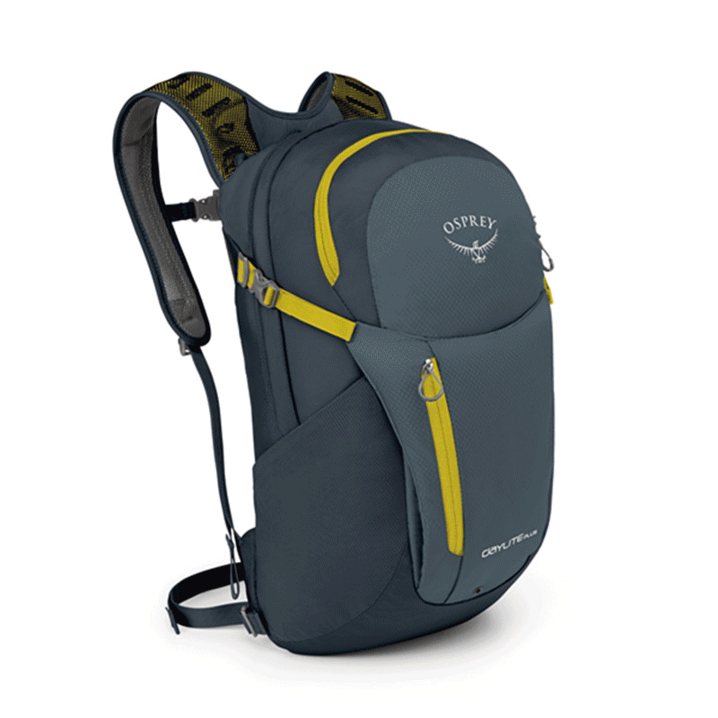 DAYLITE PLUS 日光+